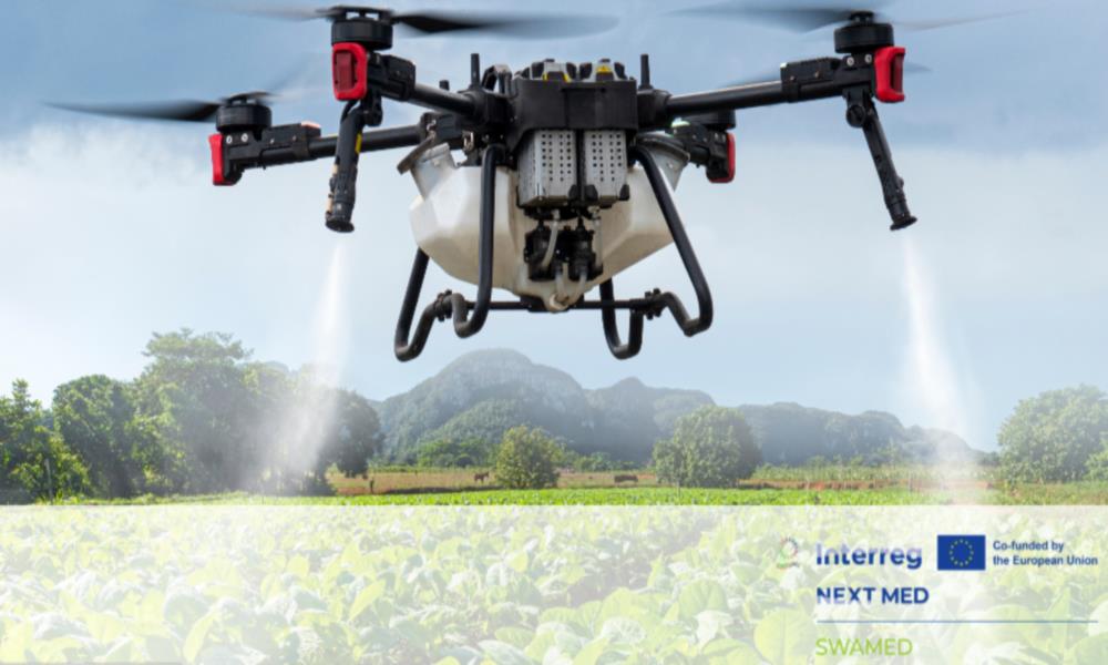 The British University in Egypt 